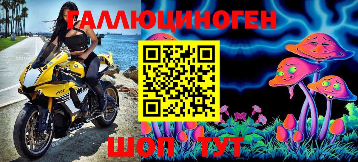COCAIN Малоярославец