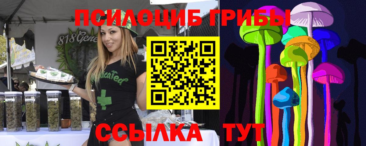Малоярославец  магазин    Вход с VPN  Галлюциногенные грибы мицелий  Галлюциногенные грибы Psilocybe 