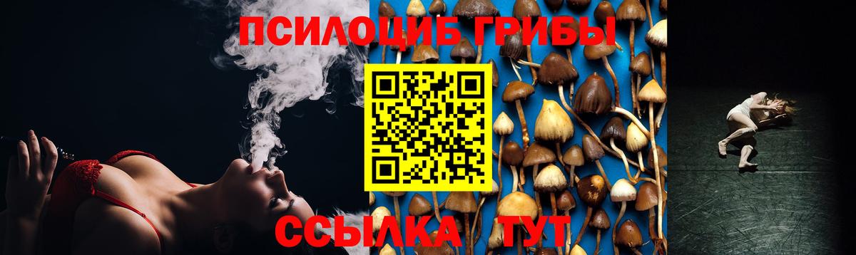 Псилоцибиновые грибы Magic Shrooms Малоярославец